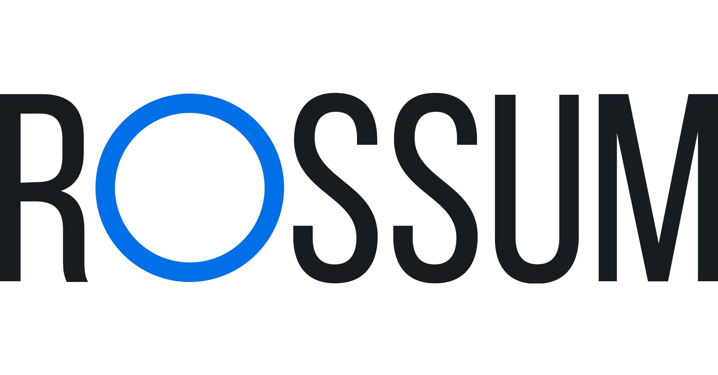 Junior Accountant – Rossum